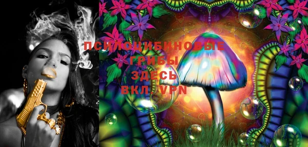 PSILOCYBIN Алексеевка