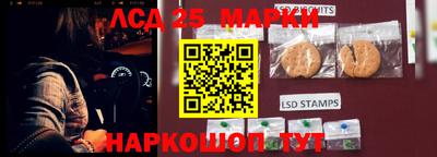 гидропоника Абакан
