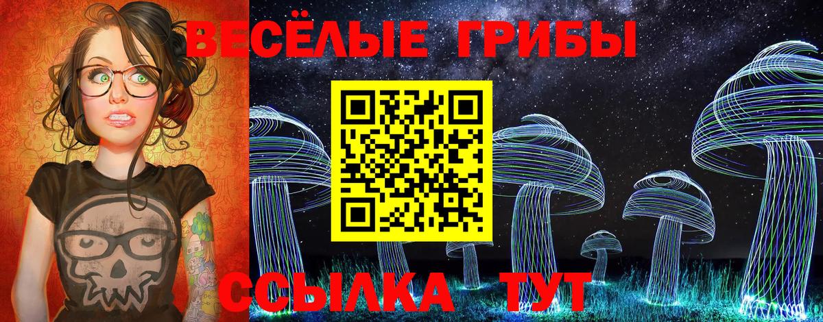 Апатиты  Псилоцибиновые грибы прущие грибы  Вход с VPN 