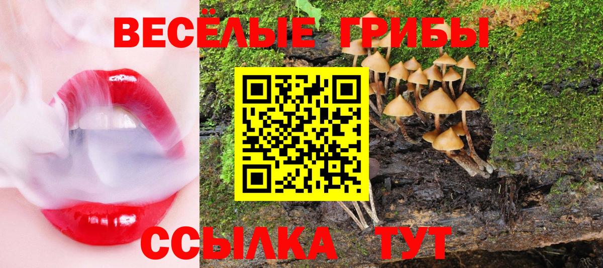 Галлюциногенные грибы GOLDEN TEACHER Апатиты