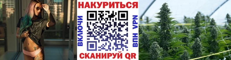 Каннабис индика  omg как войти  Апатиты 